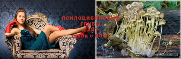 экстази Корсаков