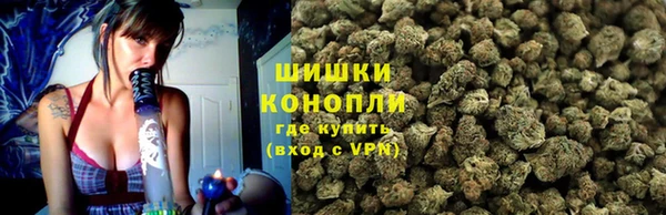 крисы Костерёво