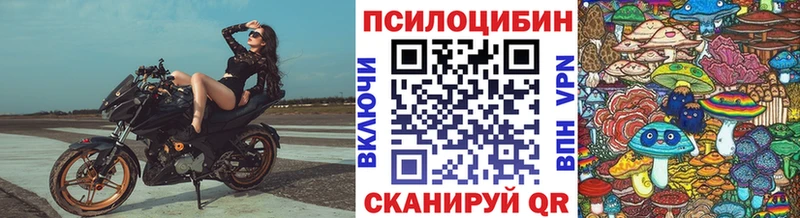 Галлюциногенные грибы Magic Shrooms  Купить закладки  Заинск 